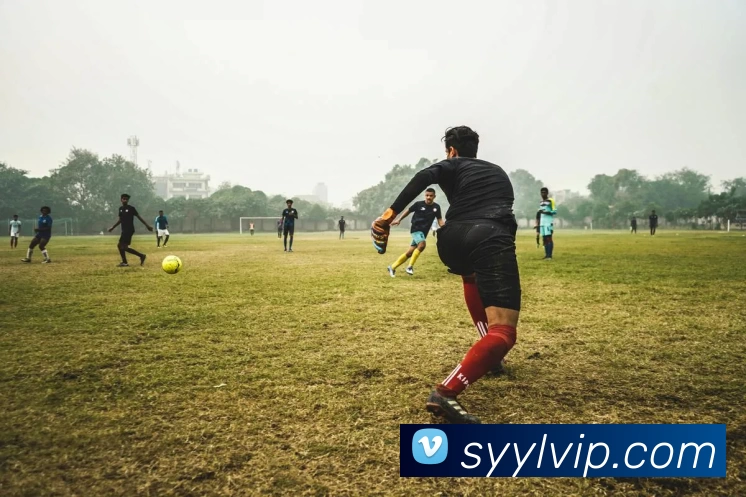 顺盈娱乐官网发展历程