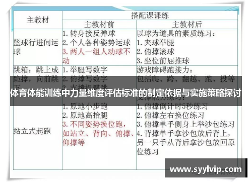 体育体能训练中力量维度评估标准的制定依据与实施策略探讨
